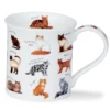 DUNOON Bute Animal Breeds Cat Mug