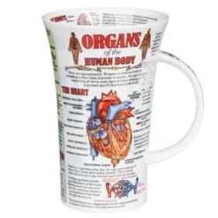 DUNOON Glencoe Organs Of The Human Body Mug -Glassware Specialty Store Picture16 1621594983