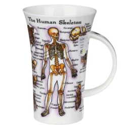 DUNOON Glencoe The Human Body (Skeleton & Muscles) Mug -Glassware Specialty Store Picture19 1621595395