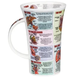DUNOON Glencoe Organs Of The Human Body Mug -Glassware Specialty Store Picture39 1604939751