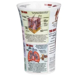 DUNOON Glencoe Organs Of The Human Body Mug -Glassware Specialty Store Picture40 1604939775