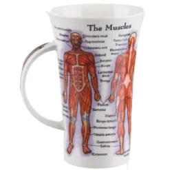 DUNOON Glencoe The Human Body (Skeleton & Muscles) Mug -Glassware Specialty Store Picture56 1604942354