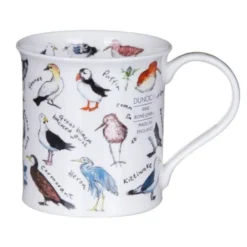 DUNOON Bute Birdlife Coastal Birds Mug -Glassware Specialty Store Picture70 1622628630
