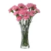 DARTINGTON Florabundance Carnation Vase VA1251/O