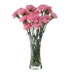 DARTINGTON Florabundance Carnation Vase VA1251/O