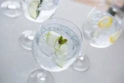 DARTINGTON Party Pack Of 6 Gin Copa Glasses ST3171/3/6PK -Glassware Specialty Store copa mood 060 1518861537