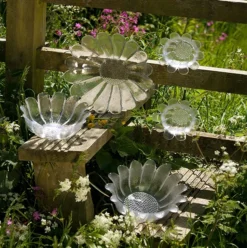 DARTINGTON Daisy Dishes Pair BD186/3/P -Glassware Specialty Store daisy 4 1493740544