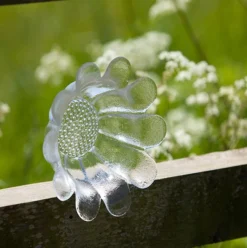 DARTINGTON Daisy Dishes Pair BD186/3/P -Glassware Specialty Store dishes pair 1493740557