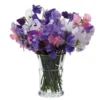 DARTINGTON Florabundance Sweet Pea Vase VA1249/O