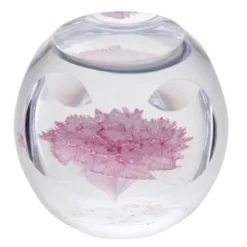 Caithness Floral Bijoux Carnation Paperweight U18026* -Glassware Specialty Store u18026 paperweight floral carnation co 2 1522333090 1522334320